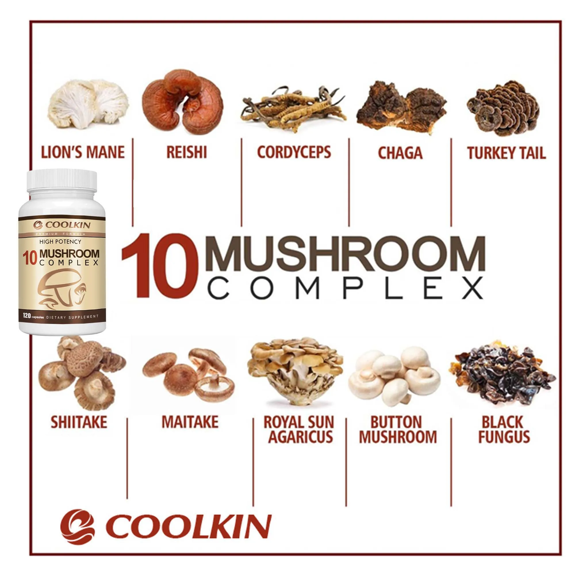 10 Mushroom Complex – Memory, Focus & Stress Relief Support (120 Capsules) - Image 3