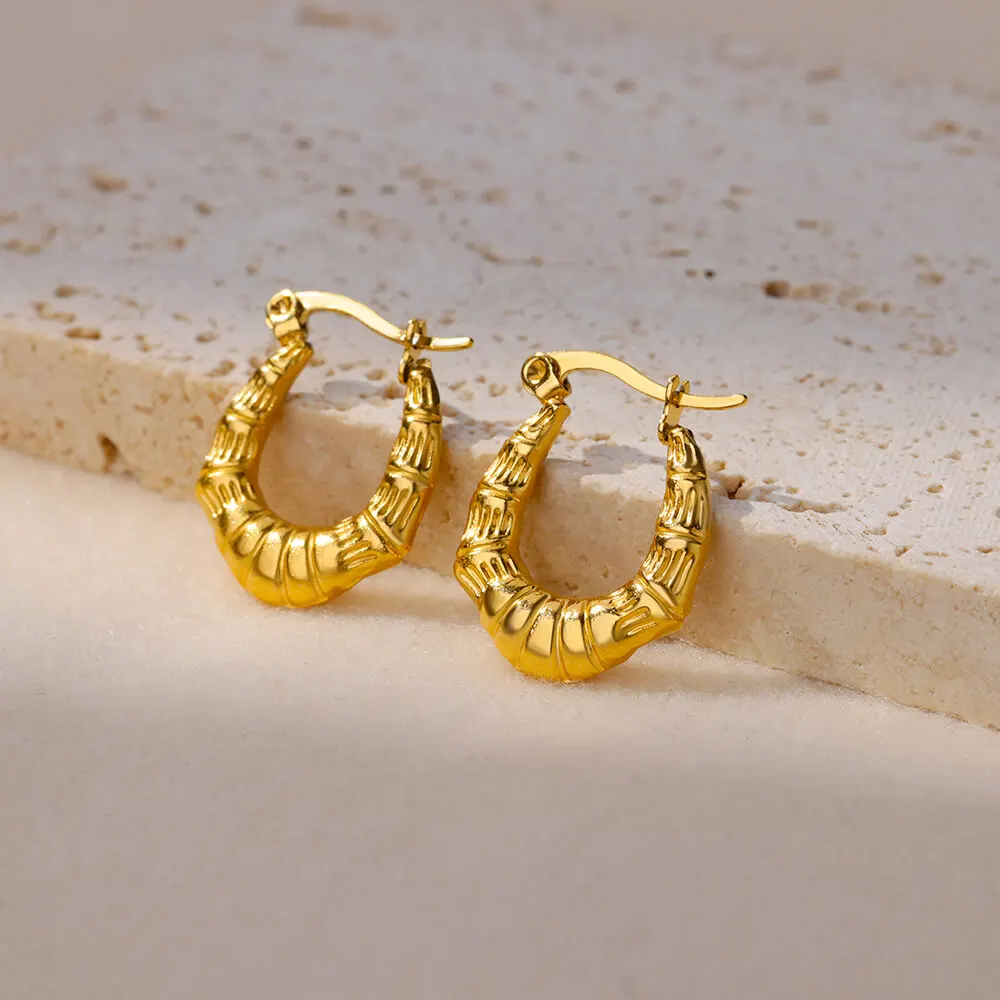 Chunky Gold Plated Stainless Steel Hoop Earrings Women Waterproof Trending 2024 Birthday Gift