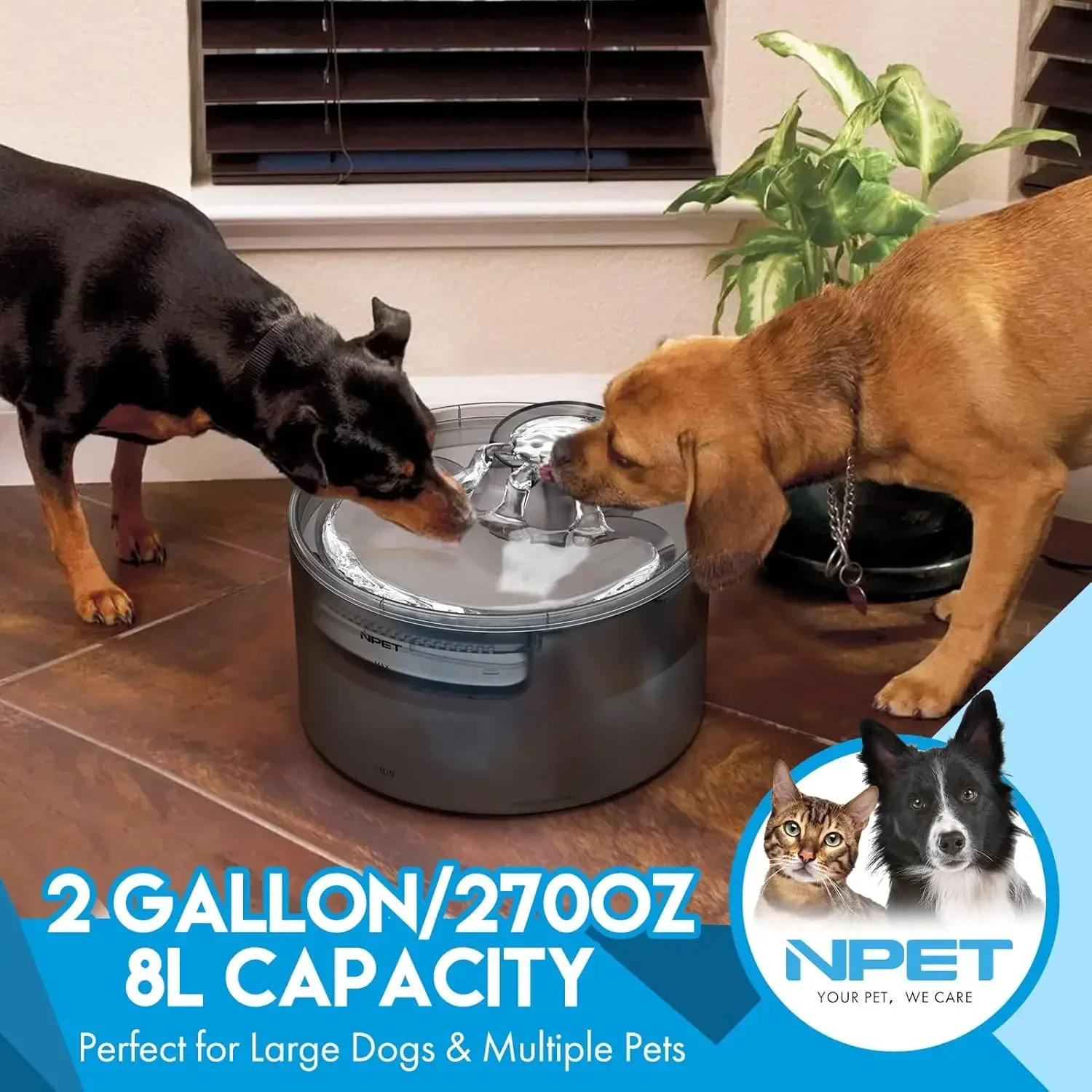 NPET 2-Gallon Dog Water Fountain - Automatic Dispenser with Splatter Guard for Large Dogs - Image 3