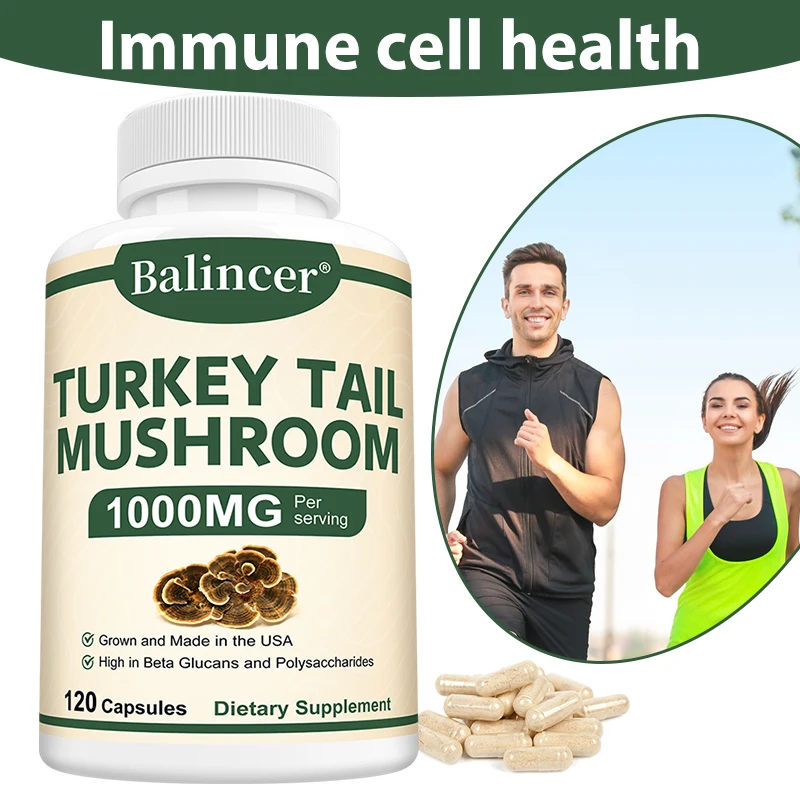 Turkey Tail Mushroom Capsules – Boost Immunity, Gut Health & Metabolism Support