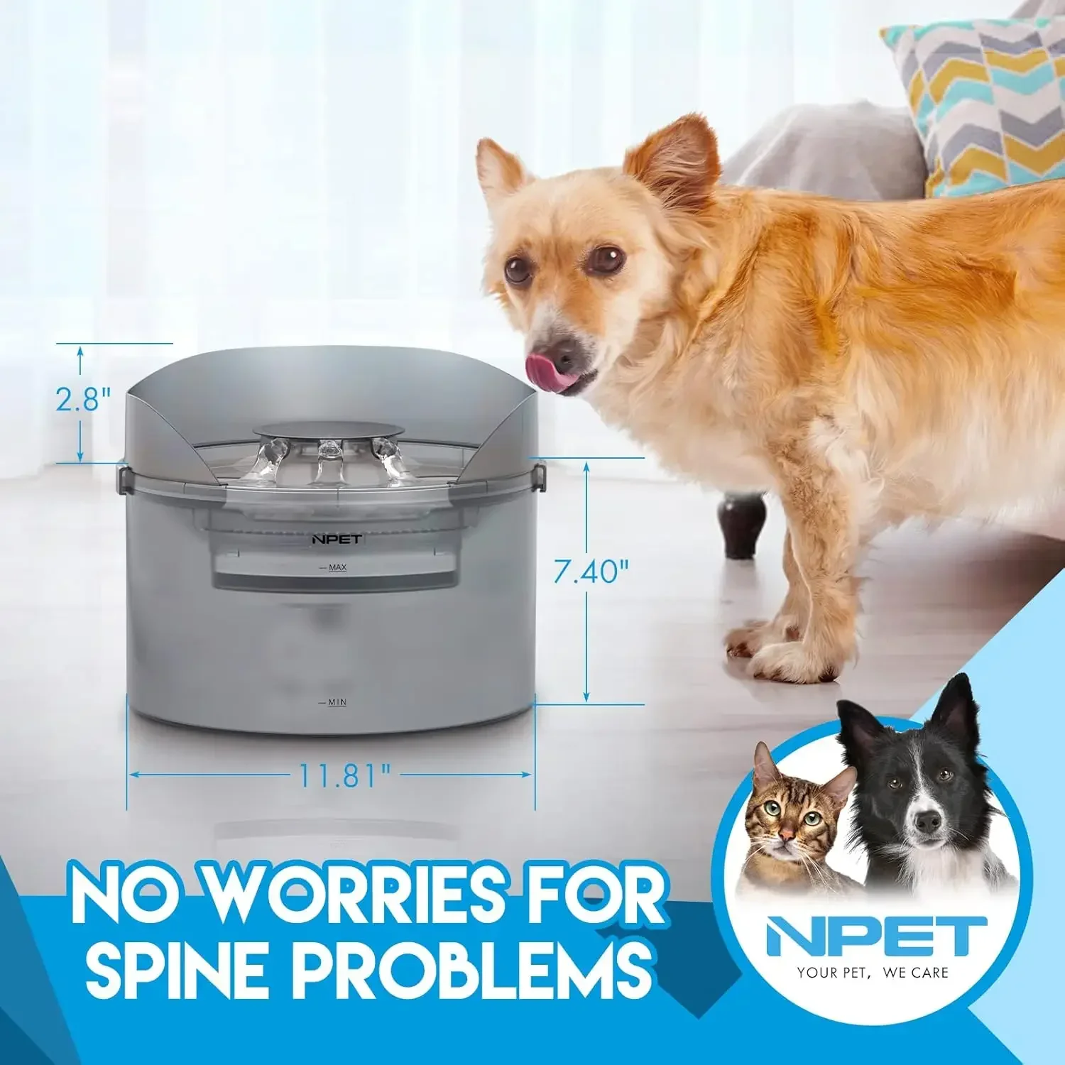 NPET 2-Gallon Dog Water Fountain - Automatic Dispenser with Splatter Guard for Large Dogs - Image 4