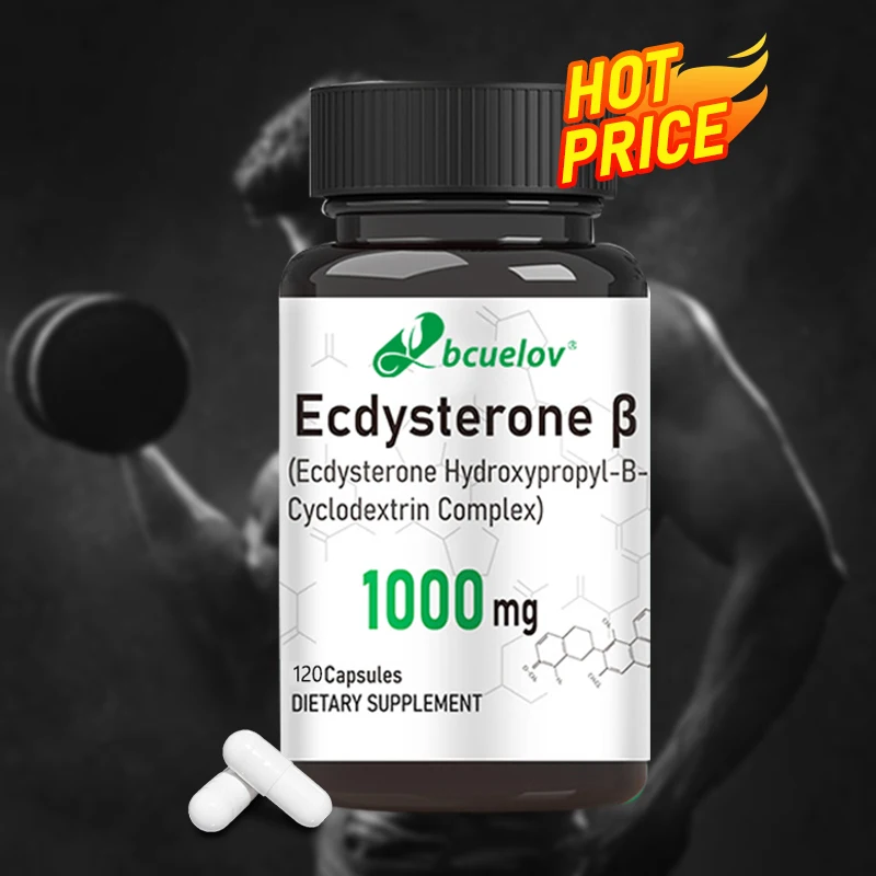 Ecdysterone Supplement – Muscle Mass & Strength Enhancer, Fat Burn Support (120 Capsules)
