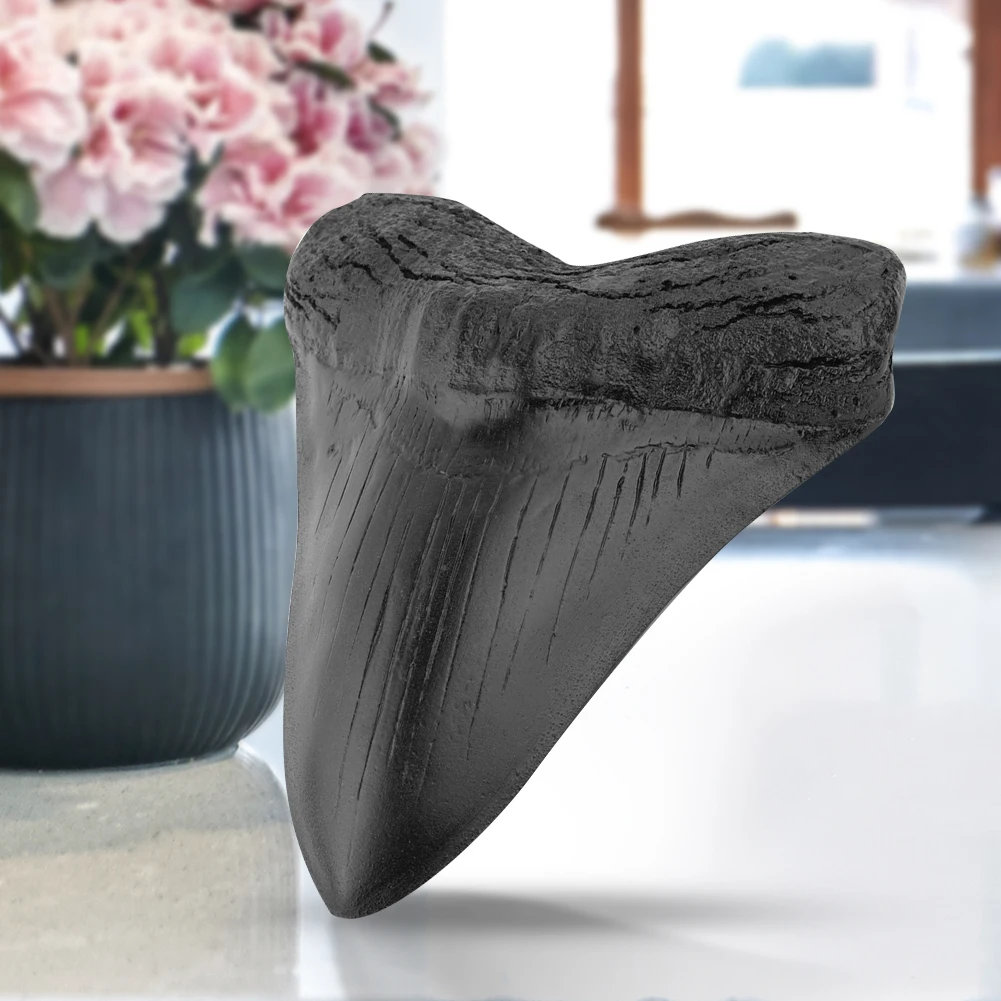 5inch Shark Teeth Model Home Decoration Giant Megalodon Tooth Marine Bology Teaching Props Resin Shark Teeth for Kids Childs - Image 4