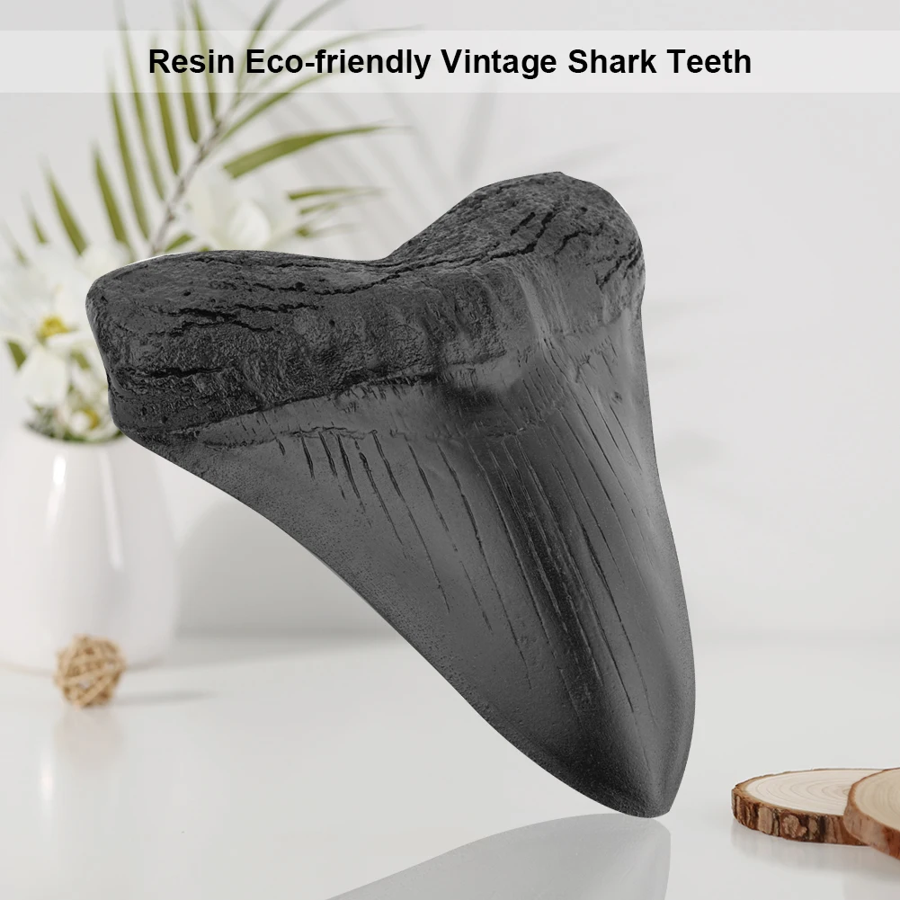 5inch Shark Teeth Model Home Decoration Giant Megalodon Tooth Marine Bology Teaching Props Resin Shark Teeth for Kids Childs - Image 2