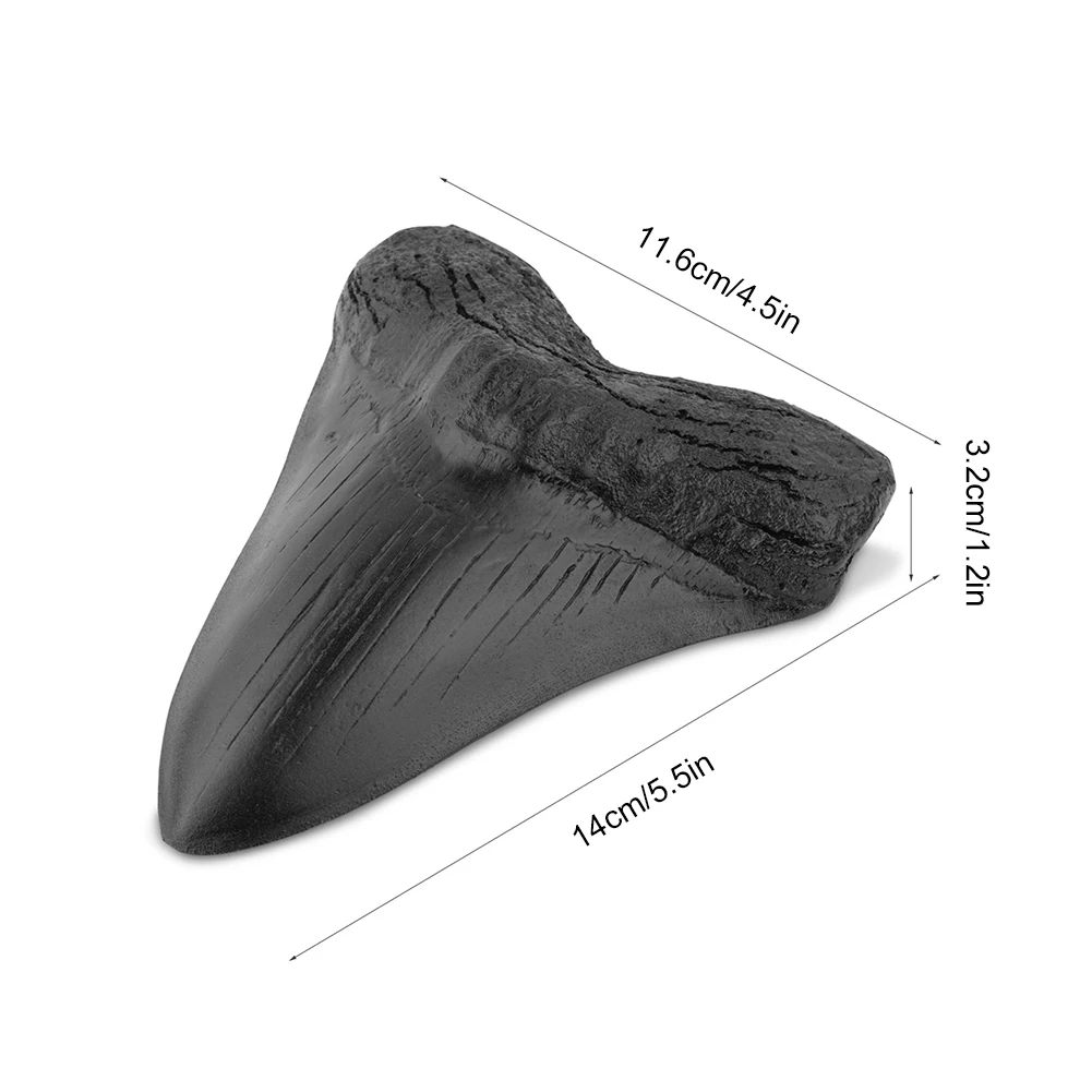 5inch Shark Teeth Model Home Decoration Giant Megalodon Tooth Marine Bology Teaching Props Resin Shark Teeth for Kids Childs - Image 6